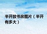 半开放书房图片（半开有多大）