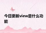 今日更新view是什么功能