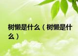 树懒是什么（树懒是什么）