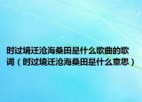 时过境迁沧海桑田是什么歌曲的歌词（时过境迁沧海桑田是什么意思）