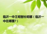 临沂一中王明智杜明娜（临沂一中在哪里?）