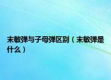 末敏弹与子母弹区别（末敏弹是什么）