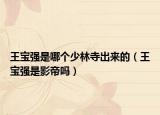 王宝强是哪个少林寺出来的（王宝强是影帝吗）