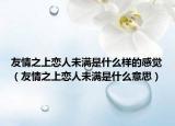 友情之上恋人未满是什么样的感觉（友情之上恋人未满是什么意思）