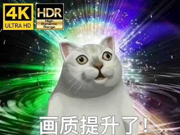这只网红猫猫到底出自哪里？看完这篇，我感觉奇怪的知识增加了