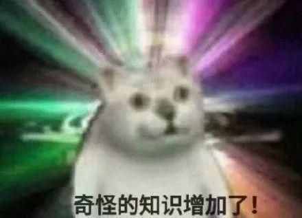 这只网红猫猫到底出自哪里？看完这篇，我感觉奇怪的知识增加了
