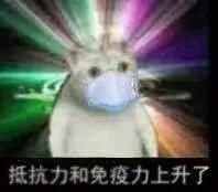 这只网红猫猫到底出自哪里？看完这篇，我感觉奇怪的知识增加了