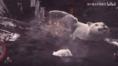 这只网红猫猫到底出自哪里？看完这篇，我感觉奇怪的知识增加了