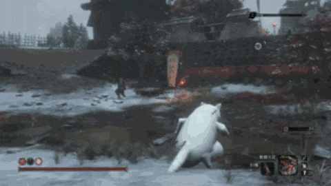 这只网红猫猫到底出自哪里？看完这篇，我感觉奇怪的知识增加了