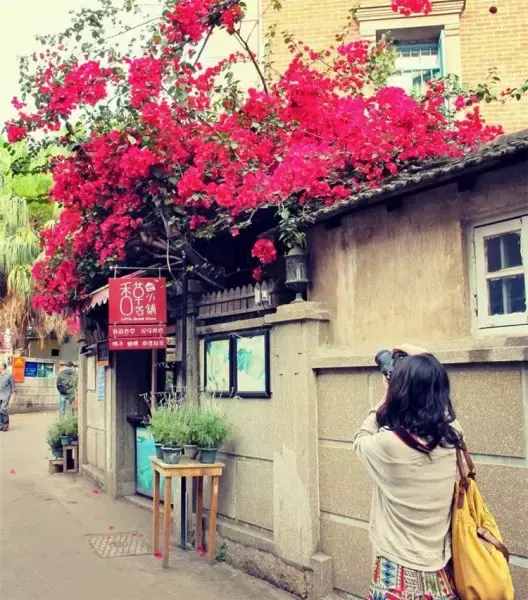 暑假倒计时｜最详细“厦门民宿客栈”攻略，让你旅行上瘾！