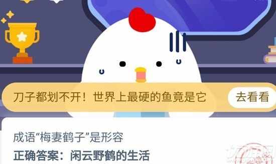 我们经常饲养的宠物龙猫是猫吗 为什么不是 蚂蚁庄园19今日答案