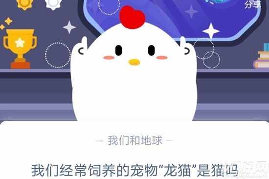 我们经常饲养的宠物龙猫是猫吗 为什么不是 蚂蚁庄园19今日答案