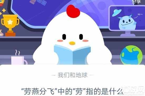 我们经常饲养的宠物龙猫是猫吗 为什么不是 蚂蚁庄园19今日答案