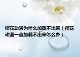樱花动漫为什么加载不出来（樱花动漫一直加载不出来怎么办）