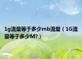 1g流量等于多少mb流量（1G流量等于多少M?）
