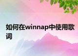 如何在winnap中使用歌词