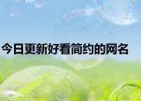 今日更新好看简约的网名