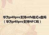 华为p40pro支持ntfs格式u盘吗（华为p40pro支持NFC吗）