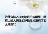为什么输入ip地址进不去网页（网页上输入网址的IP地址栏没有了怎么处理?）