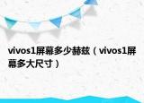 vivos1屏幕多少赫兹（vivos1屏幕多大尺寸）
