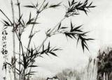 今日更新郑板桥写竹子的诗（郑板桥的咏竹诗）