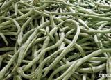 今日更新四季豆的营养价值（四季豆的营养价值有多高）