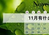 今日更新11月份有什么节日（11月份有什么节日 十一月份的节日一览表）