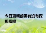 今日更新前妻有没有探视权呢