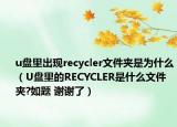 u盘里出现recycler文件夹是为什么（U盘里的RECYCLER是什么文件夹?如题 谢谢了）