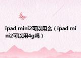 ipad mini2可以用么（ipad mini2可以用4g吗）