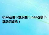 ipad在哪下载东西（ipad在哪下载动态壁纸）
