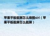 苹果平板截屏怎么唤醒siri（苹果平板截屏怎么截屏）