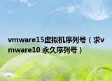 vmware15虚拟机序列号（求vmware10 永久序列号）