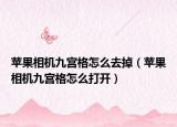 苹果相机九宫格怎么去掉（苹果相机九宫格怎么打开）