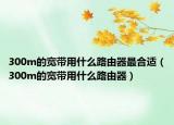300m的宽带用什么路由器最合适（300m的宽带用什么路由器）
