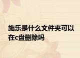 施乐是什么文件夹可以在c盘删除吗