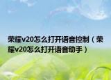 荣耀v20怎么打开语音控制（荣耀v20怎么打开语音助手）
