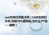 cad文件打开就卡死（CAD文件打不开,开到70%就死机,为什么???急~~请教）