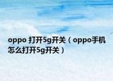 oppo 打开5g开关（oppo手机怎么打开5g开关）