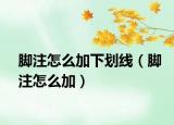 脚注怎么加下划线（脚注怎么加）
