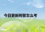 今日更新刑警怎么考