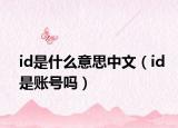 id是什么意思中文（id是账号吗）