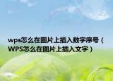 wps怎么在图片上插入数字序号（WPS怎么在图片上插入文字）