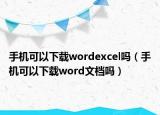 手机可以下载wordexcel吗（手机可以下载word文档吗）