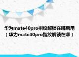 华为mate40pro指纹解锁在哪启用（华为mate40pro指纹解锁在哪）