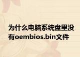 为什么电脑系统盘里没有oembios.bin文件
