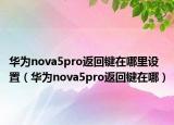 华为nova5pro返回键在哪里设置（华为nova5pro返回键在哪）