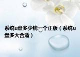 系统u盘多少钱一个正版（系统u盘多大合适）