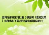 雪狗兄弟哪里可以看（哪里有《雪狗兄弟》这部电影下载?要迅雷的!要国语的!）