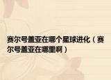 赛尔号盖亚在哪个星球进化（赛尔号盖亚在哪里啊）